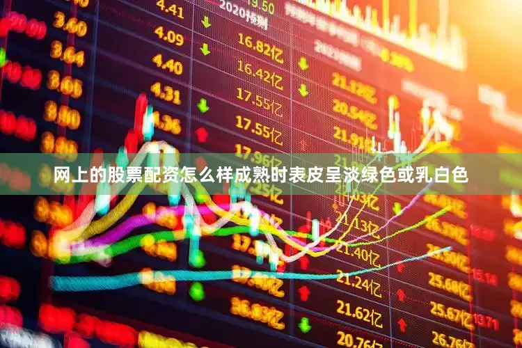 网上的股票配资怎么样成熟时表皮呈淡绿色或乳白色