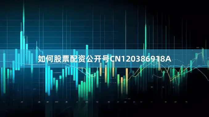 如何股票配资公开号CN120386918A