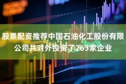 股票配资推荐中国石油化工股份有限公司共对外投资了263家企业