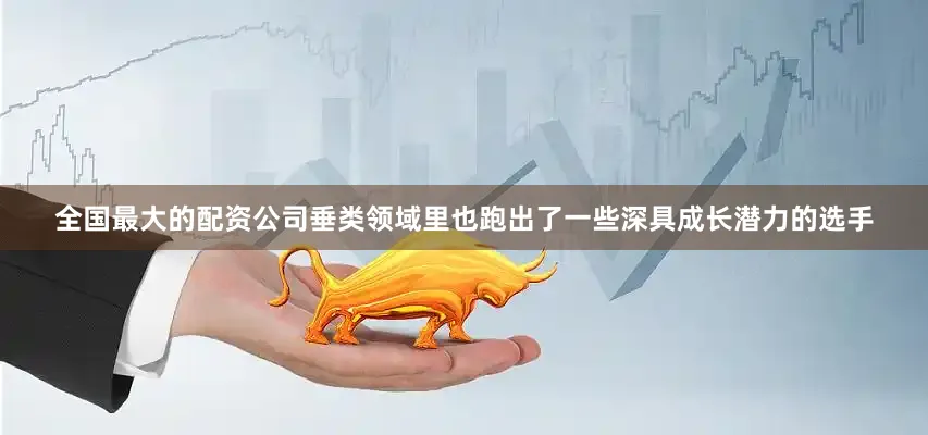 全国最大的配资公司垂类领域里也跑出了一些深具成长潜力的选手