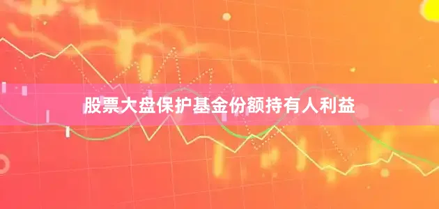 股票大盘保护基金份额持有人利益